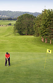 Image: Golfing