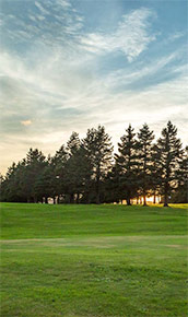 Osprey Shores